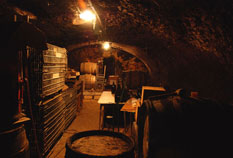 cave vigneronne authentique
